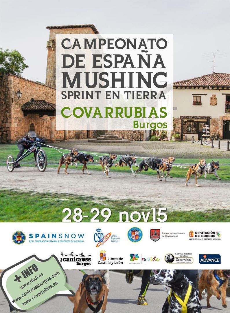 CAMPEONATO DE ESPAÑA MUSHING TIERRA VILLA DE COVARRUBIAS 2015 + VI CANICROSS VILLA DE COVARRUBIAS Y IV CIRCUITO PROVINCIAL DE BURGOS