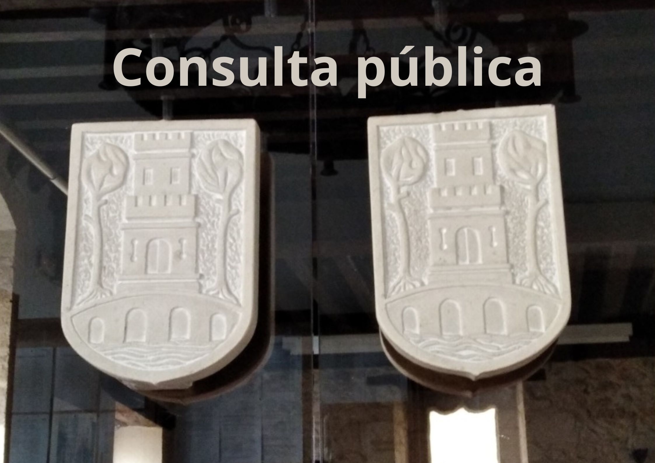 Consulta pública