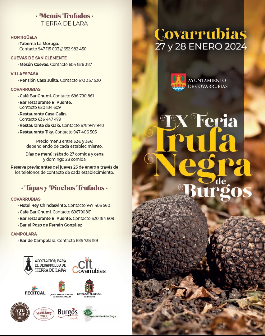 Feria de la Trufa Negra de Burgos 2024